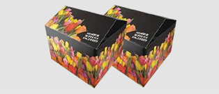 Multi Colored Corrugated Box